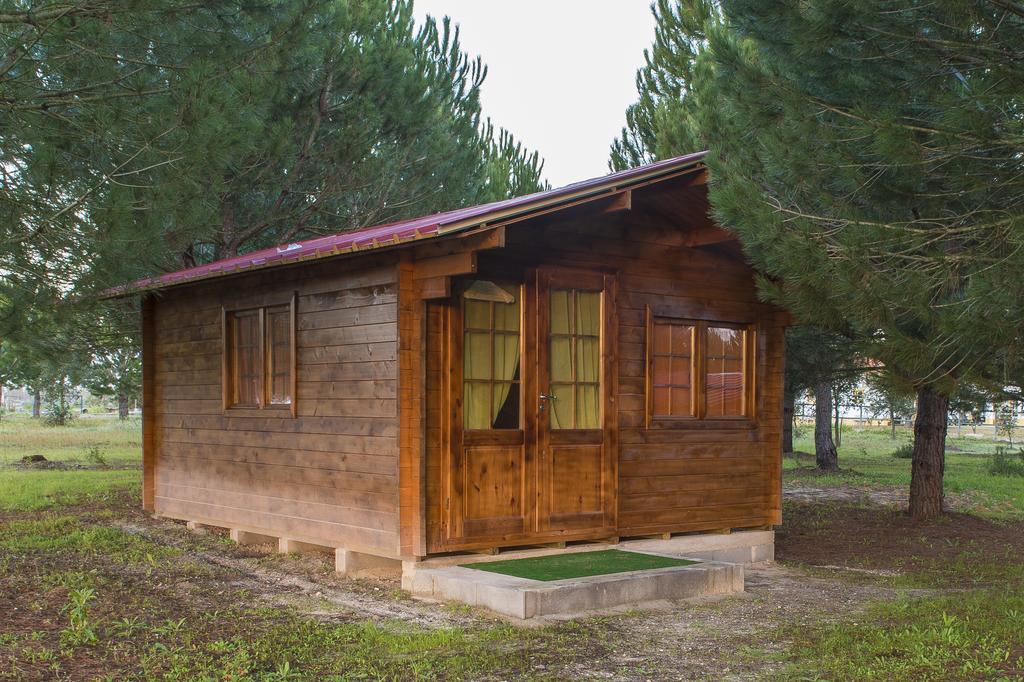 Monte Macario Alojamento Local Coruche Dış mekan fotoğraf