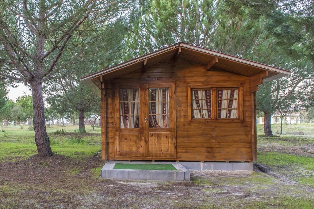 Monte Macario Alojamento Local Coruche Dış mekan fotoğraf